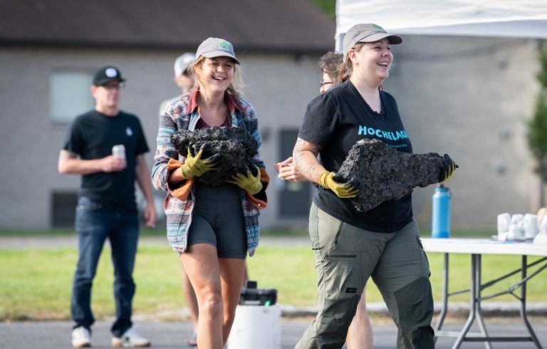 Activité de dépavage 