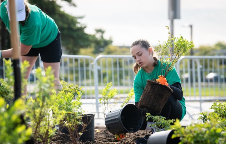 Activité de plantation