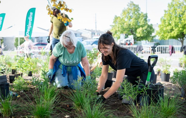 Activité de plantation