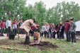 Activité de plantation