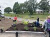 Activité de plantation