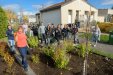 Activité de plantation