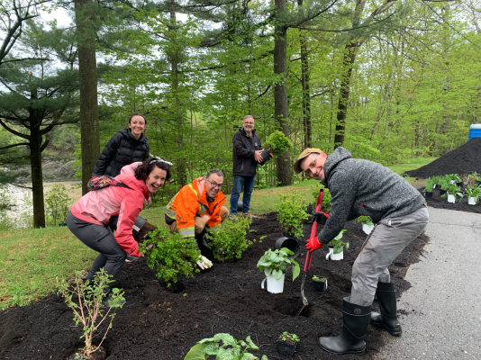 Activité de plantation