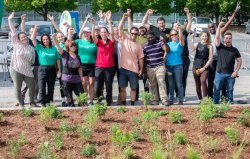 Activité de plantation