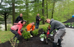 Activité de plantation