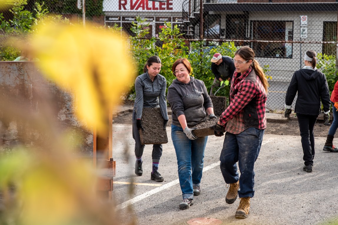 Activité de dépavage 