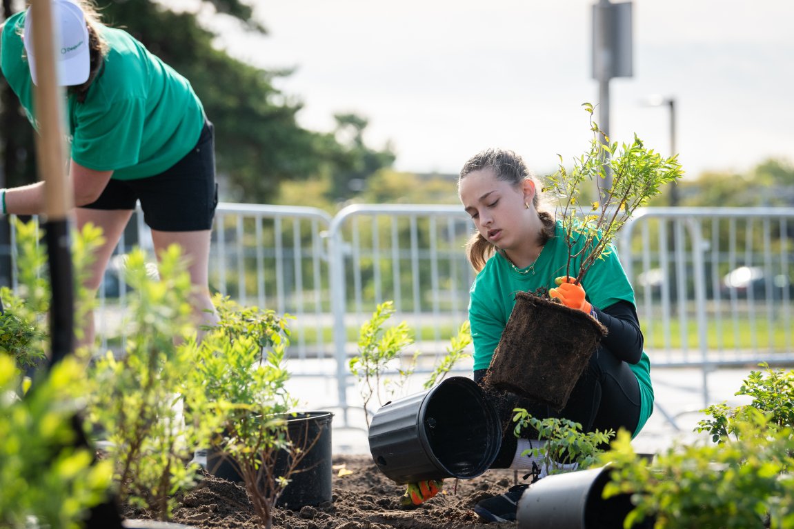 Activité de plantation