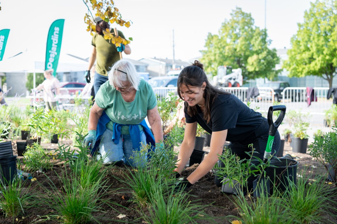 Activité de plantation