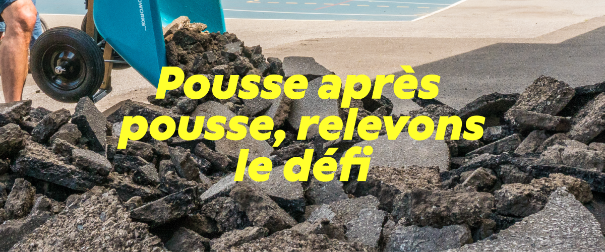 Défi Pousse après pousse