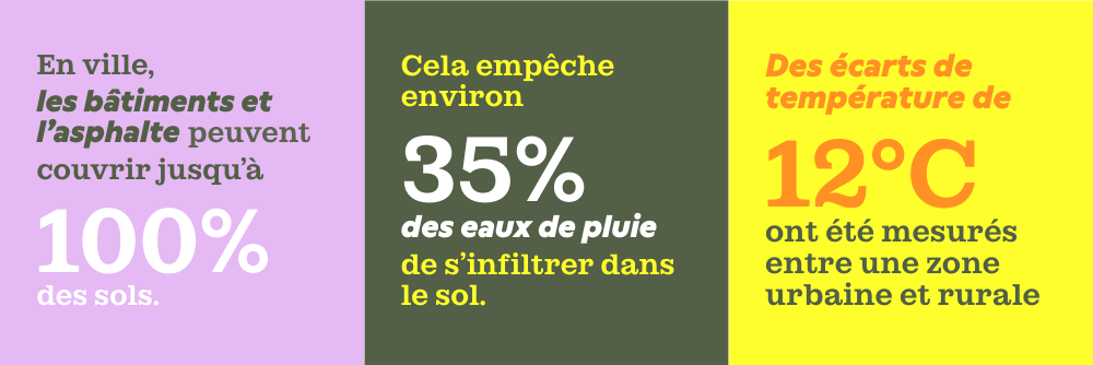 Statistiques