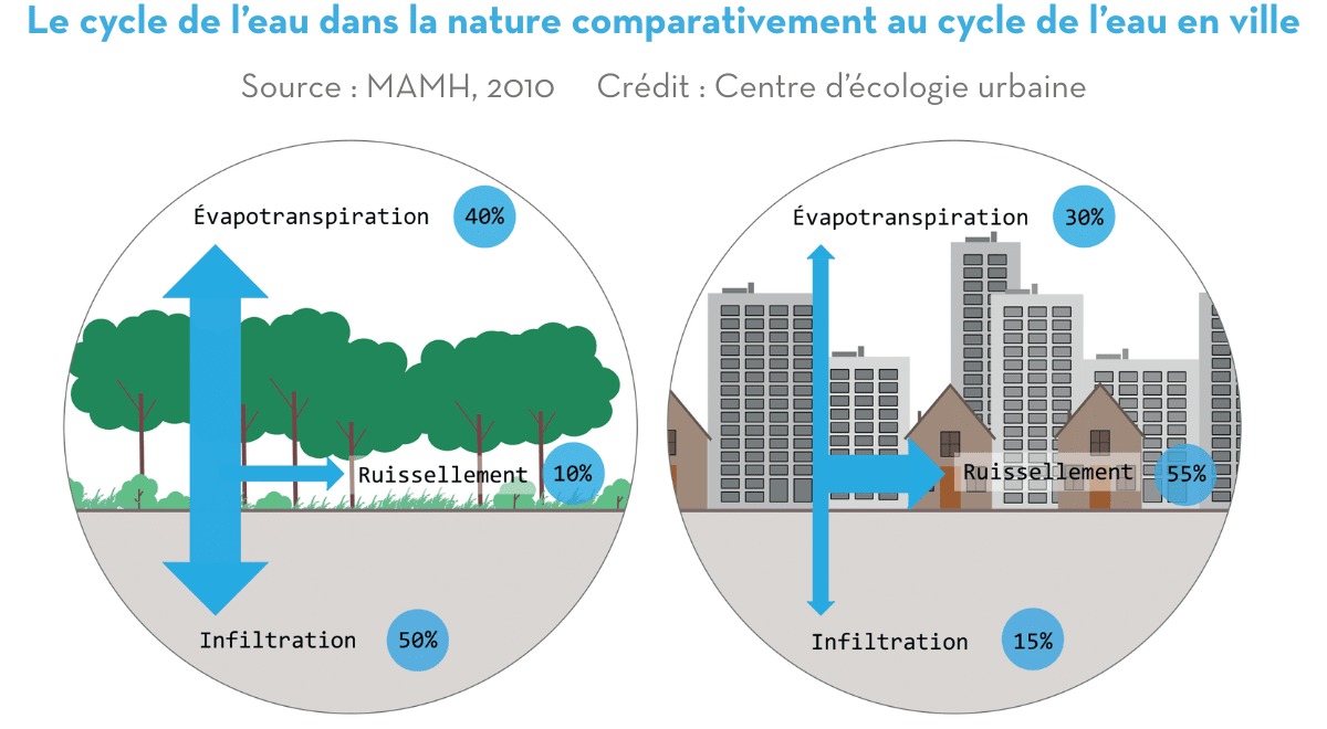 Cycle de l'eau